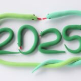 2025年を振り返って